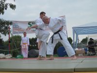 Bilder_2013 (4)
